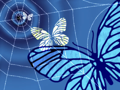 蝶が蜘蛛の巣に・・・。落ちていく・・・。